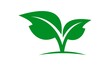 green leaf nature eco logo vector