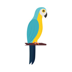 Sticker - macaw on branch