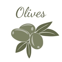 Wall Mural - Green olives with leaves. Hand drawn vector illustration isolated on a white background