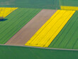 vue aérienne de champs de colza en région parisienne en France