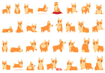 Royal corgi icons set cartoon vector. Animal dog. Breed baby