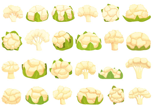 Cauliflower icons set cartoon vector. Cabbage piece. Food salad
