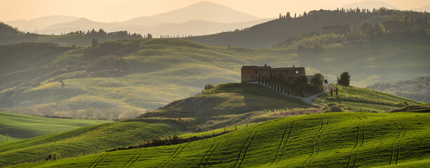 Wall Mural - panorama of the spring landscape of tuscany, italy