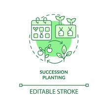 Succession Planting Green Concept Icon. One Crop Following Another. Gardening Method Abstract Idea Thin Line Illustration. Isolated Outline Drawing. Editable Stroke. Arial, Myriad Pro-Bold Fonts Used