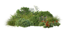 3D Render Flowers And Shrubs With White Background