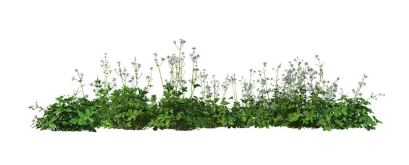 Wall Mural - 3D render flowers and shrubs with white background