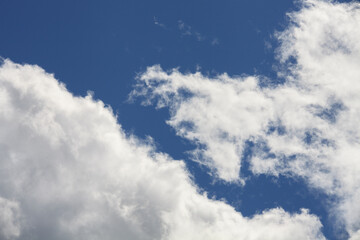 Poster - blue sky with cumulus clouds