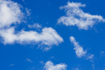 Poster - blue sky with cumulus clouds