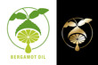 Bergamot oil icon - essential flavoring agent