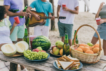 Cropped view portrait of attractive carefree people buddy fellow having fun playing guitar eating food picnic at beach outdoors