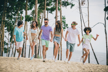 Wall Mural - Photo of sweet pretty young people wear casual clothes holding arms enjoying walk outside countryside