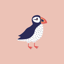 Adorable Puffin Hand Drawn Vector Illustration. Funny Colorful Isolated Icelandic Bird In Flat Style For Logo Or Icon.