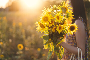 Wall Mural - Beautiful woman holding sunflowers bouquet close up in warm sunset light in summer meadow. Tranquil atmospheric moment in countryside. Stylish female with sunflowers in evening field