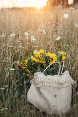 Poster - Beautiful sunflowers in straw bag in summer meadow in warm sunset light . Tranquil atmospheric moment in countryside. Gathering sunflowers bouquet among wildflowers in evening field