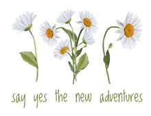 Say Yes To New Adventures. Daisies Positive Quote, Floral Design For Stickers, Mugs, T-shirts, Phone Cases, Stationery.