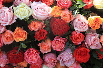 Sticker - Colorful wedding roses