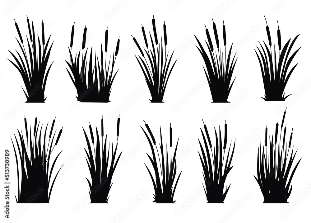 Cattails Vector Silhouettes Collections Stock Vector | Adobe Stock