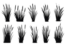 Cattails Vector Silhouettes Collections