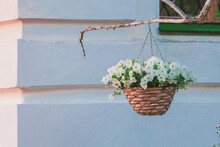 Hanging Flowerpot With White Petunias