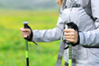 © Antonioguillem - Hiker hands using poles to walk in the mountain