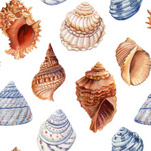 Seamless Pattern With Seashells. Watercolor Hand Drawn Vintage Sea Background For Wallpaper