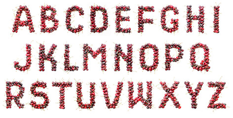 Poster - Cherry alphabet. Real berries in the form of letters, numbers and signs. Set for the designer to type any text. Uppercase