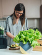 © Tijana - An anonymous woman preparing healthy detox drink in a blender, green smoothie with banana, spinach and avocado while standing at kitchen desk with focus on a lettuce in a flower pot