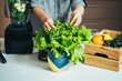 © Tijana - Close Up Photo Of Woman Hands Taking Fresh Lettuce And Making Green Smoothie For Breakfast At Home