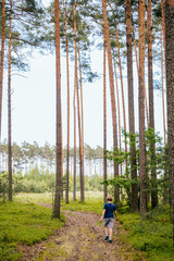 Rear view vertical shot of 10-year-old boy out of the woods along the path. Tiny kid in vast pine forest.