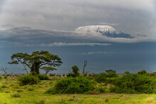 Mount Kilimanjaro, Amboseli National Park, Kenya