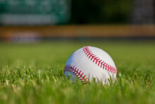 Low Angle Selective Focus View Of A Baseball In Grass At A Ball Park