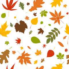 Wall Mural - leaves autumn background seamless pattern in flat design,  vector