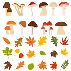 Wall Mural - mushrooms with leaves set, autumn in flat design, isolated vector