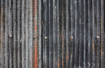 Wall Mural - Surface of rusty zinc background