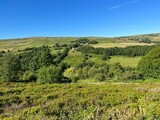 Fototapeta  - Extensive landscape, with moorland, farms, trees, and distant hills near, Jerusalem Lane, Midgley, UK