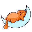 Cute red cat sleeps on a crescent moon. Shows emotions, sleep, good night. Cat character hand drawn style, sticker, emoj