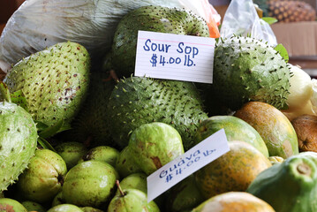 Canvas Print - market soursop