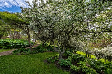 Wall Mural - Arboretum and Botanical Garden in Moscow, Idaho