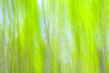 Poster - Abstract motion blur spring summer green forest sunny texture background
