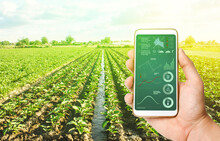 Innovative Technologies In Agriculture. The Use Of Internet Of Things Technologies In Farming. Increase Crop Efficiency And Quality, Reduce Greenhouse Gas Emissions And Harm The Environment.
