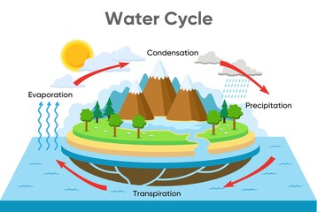 water cycle diagram with rainfall and ocean, vector design illustration