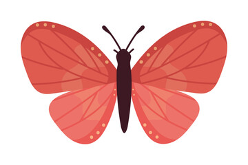 Poster - cute butterfly icon