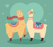 adorable llamas cartoon