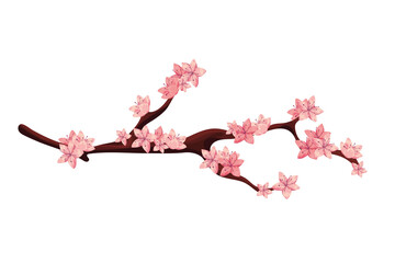 Wall Mural - sakura branch tree