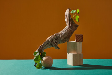 Front view of centella asiatica ( gotu kola ) decorated with branch tree in brown background 