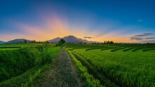 Panorama With Indonesian Morning View In Green Rice Fields With The Moon Above The Mountain Leaves When The Weather Is Sunny