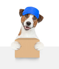Poster - Jack russell terrier puppy wearing blue cap holds big box above empty white banner. isolated on white background