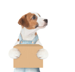 Poster - Jack russell terrier puppy wearing overalls holds big box and looks away on empty space. isolated on white background