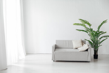 Poster - interior of a white room with a sofa window and a green palm tree