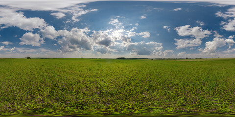 Wall Mural - full seamless 360 hdri panorama view among farming fields with sun and clouds in overcast sky in equirectangular spherical projection, ready for use as sky replacement in drone panoramas or VR content